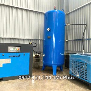 Máy sấy khí Pegasus TMMSK-15 -7